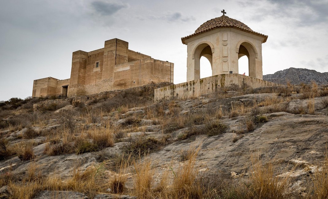 Nouvelle construction - Townhouse - Cox