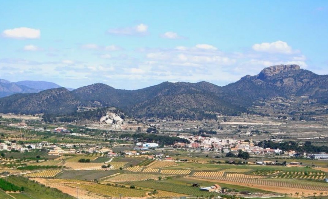 Nouvelle construction - Villa - La Romana - LA ROMANA