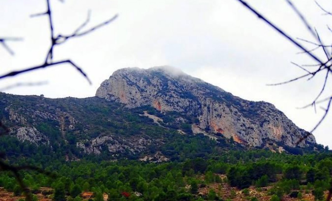 Nouvelle construction - Villa - La Romana - LA ROMANA