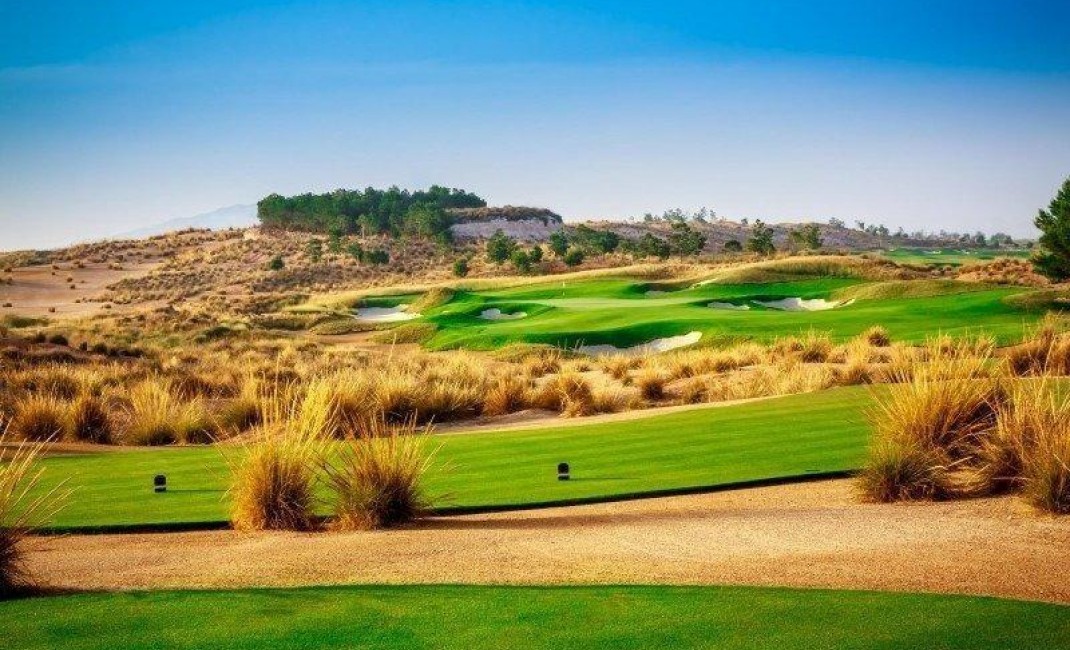 Nouvelle construction - Villa - Alhama de Murcia