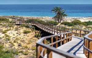 New Build - Apartment - Monforte del Cid