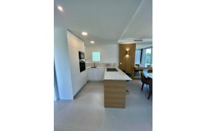 Nouvelle construction - Villa - Finestrat