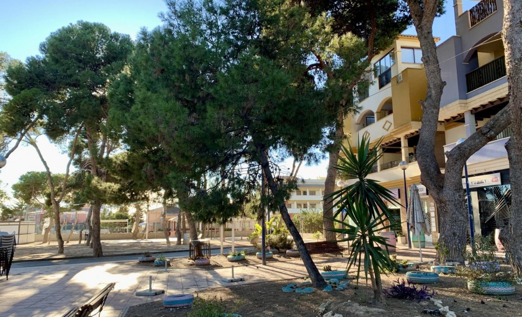 New Build - Apartment - San Javier