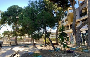 New Build - Apartment - San Javier