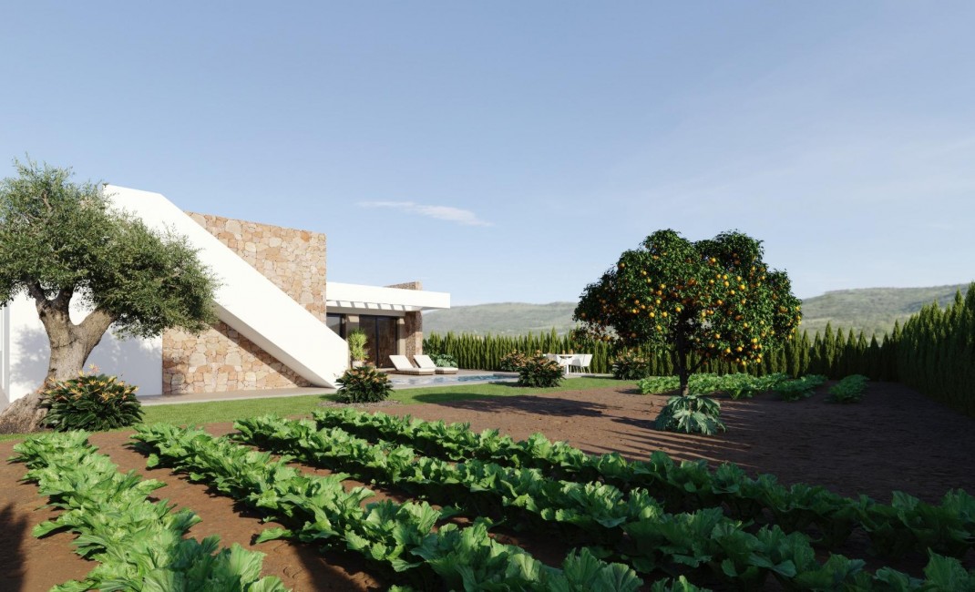 Nouvelle construction - Villa - Fuente Álamo