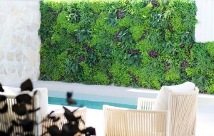 New Build - Apartment - Pilar de la Horadada - PILAR DE LA HORADADA