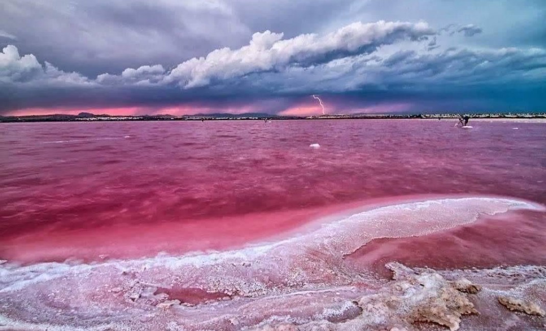 New Build - Apartment - Torrevieja