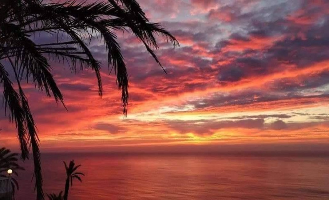 Nouvelle construction - Apartement - Torrevieja