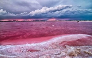 Nouvelle construction - Apartement - Torrevieja