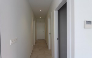 Nouvelle construction - Villa - Pinoso