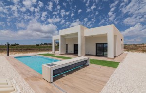 New Build - Villa - Pinoso