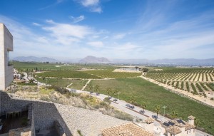 Nouvelle construction - Villa - Algorfa