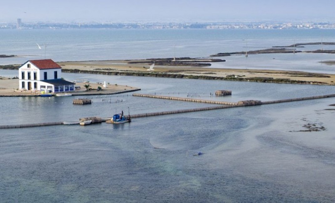 Nouvelle construction - Villa - San Pedro del Pinatar