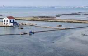 Nouvelle construction - Villa - San Pedro del Pinatar