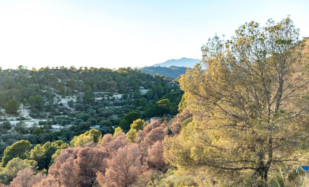 New Build - Apartment - Finestrat