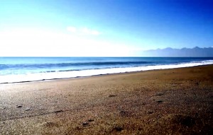 Nouvelle construction - Ground floor apartment - Torrevieja