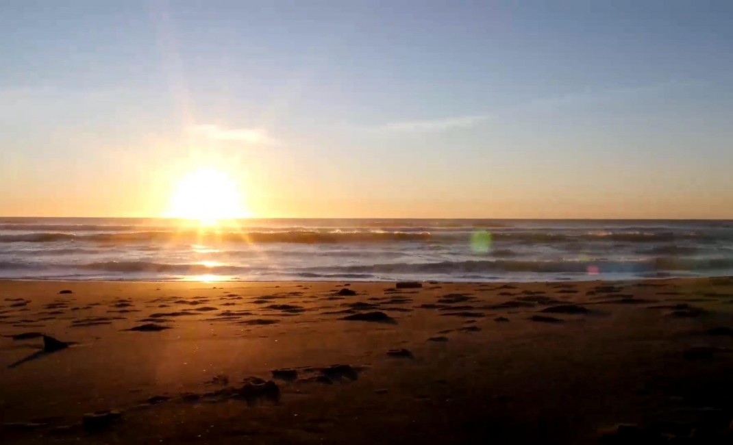 Nouvelle construction - Ground floor apartment - Torrevieja