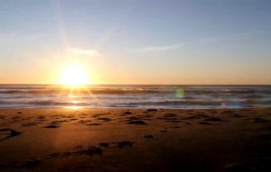 Nouvelle construction - Ground floor apartment - Torrevieja