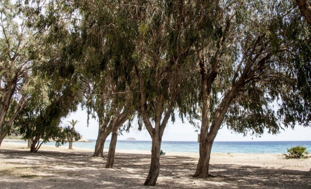 New Build - Ground floor apartment - Villajoyosa