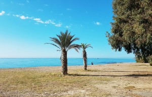 New Build - Ground floor apartment - Villajoyosa