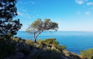 New Build - Ground floor apartment - Villajoyosa