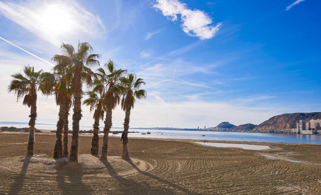 Nouvelle construction - Semidetached - Els Poblets