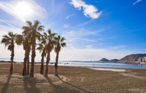 Nouvelle construction - Semidetached - Els Poblets