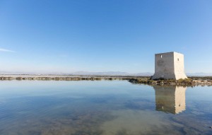 New Build - Apartment - Santa Pola