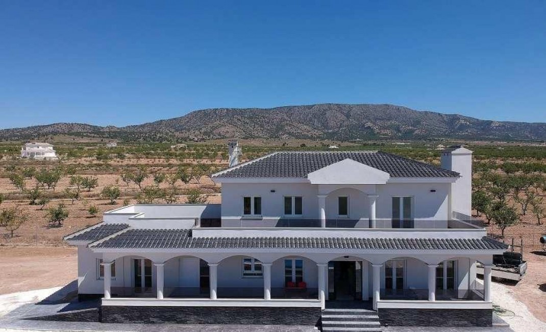 New Build - Villa - Pinoso