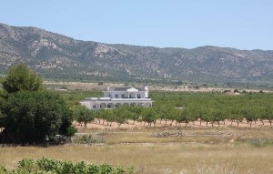 New Build - Villa - Pinoso