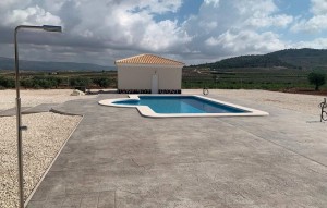 New Build - Villa - Pinoso