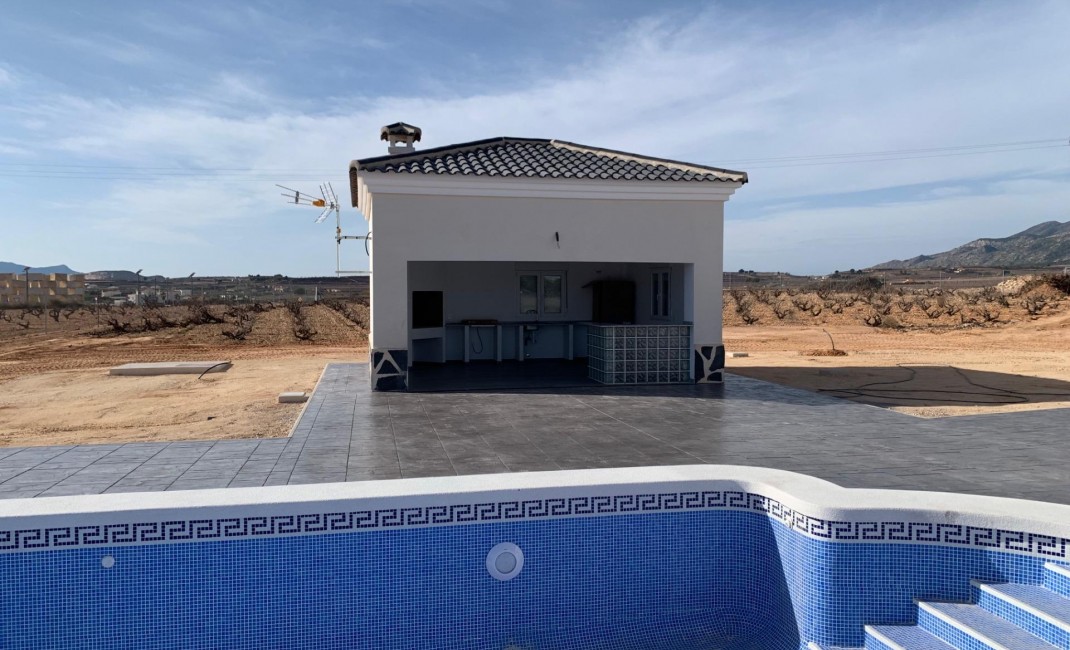 Nouvelle construction - Villa - Pinoso