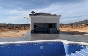 Nouvelle construction - Villa - Pinoso