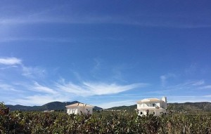 New Build - Villa - Pinoso