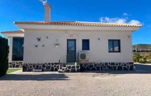 New Build - Villa - Pinoso