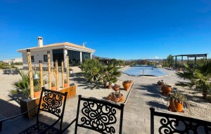 New Build - Villa - Pinoso