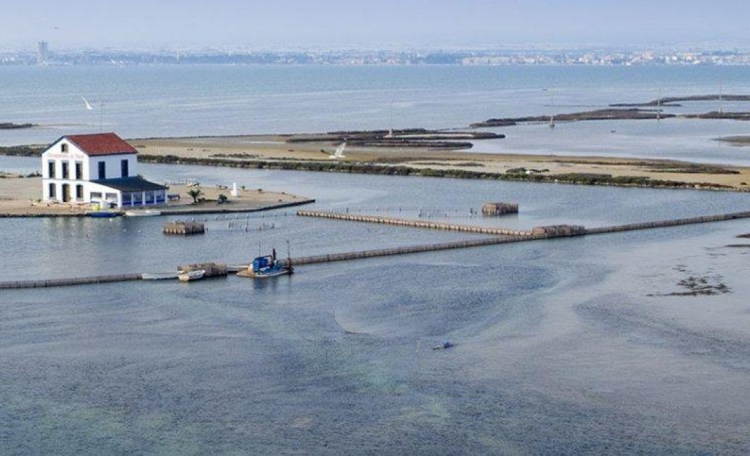 Nouvelle construction - Villa - San Pedro del Pinatar