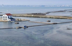 Nouvelle construction - Villa - San Pedro del Pinatar