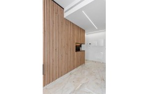 Nouvelle construction - Villa - Algorfa