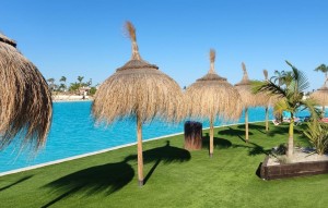 New Build - Apartment - Torre Pacheco - Torre-pacheco