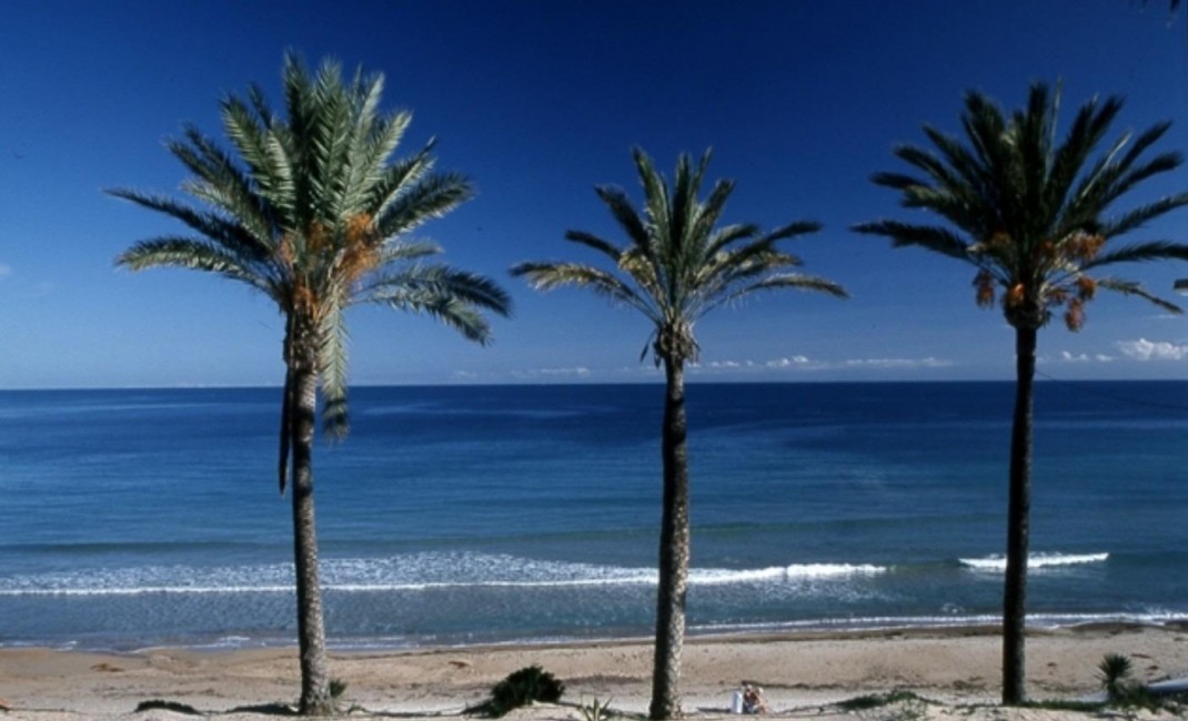 New Build - Apartment - Pilar de la Horadada - PILAR DE LA HORADADA