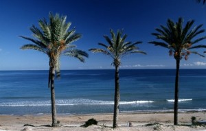 Nouvelle construction - Appartement - Pilar de la Horadada - PILAR DE LA HORADADA