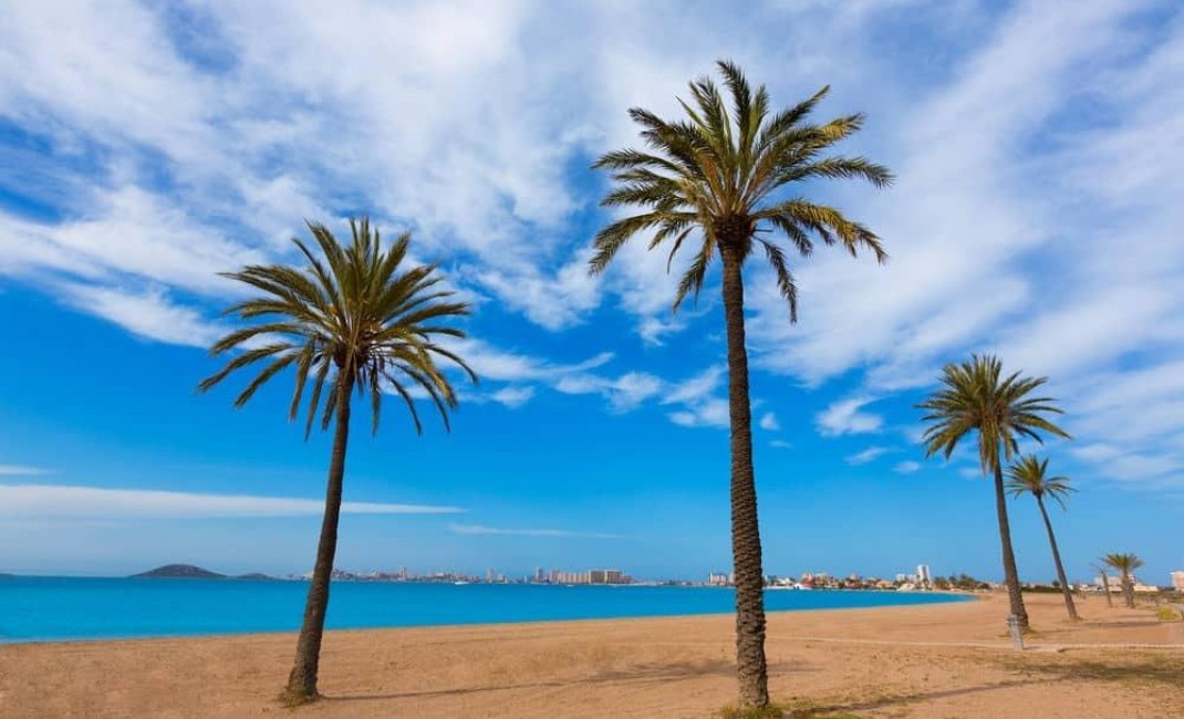 Nouvelle construction - Semidetached - Torre Pacheco - Torre-pacheco