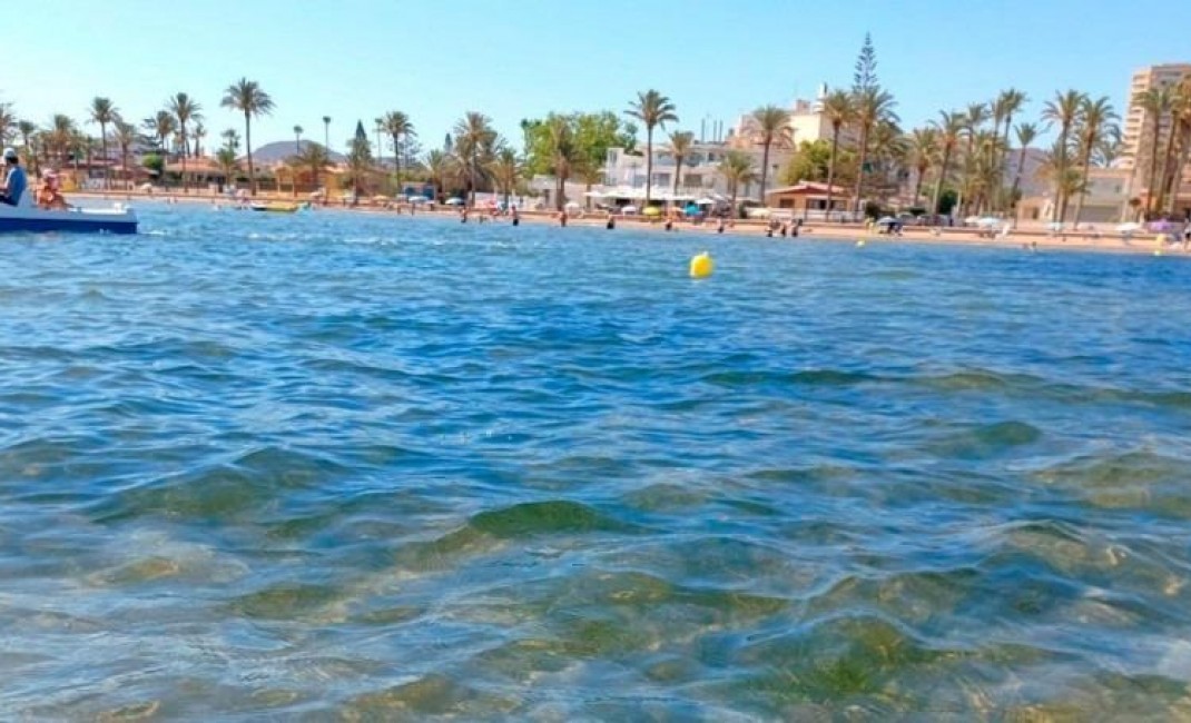 Nouvelle construction - Semidetached - Torre Pacheco - Torre-pacheco