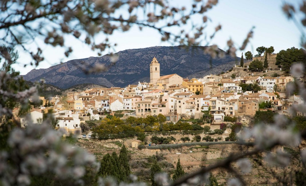 New Build - Villa - Polop