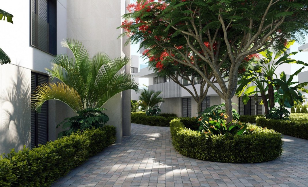 Nouvelle construction - Ground floor apartment - Torre Pacheco - Torre-pacheco