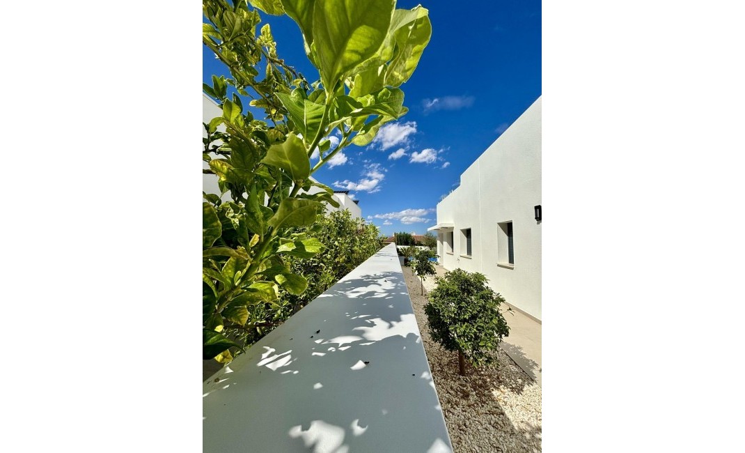 Nouvelle construction - Villa - Benijofar - Benijófar