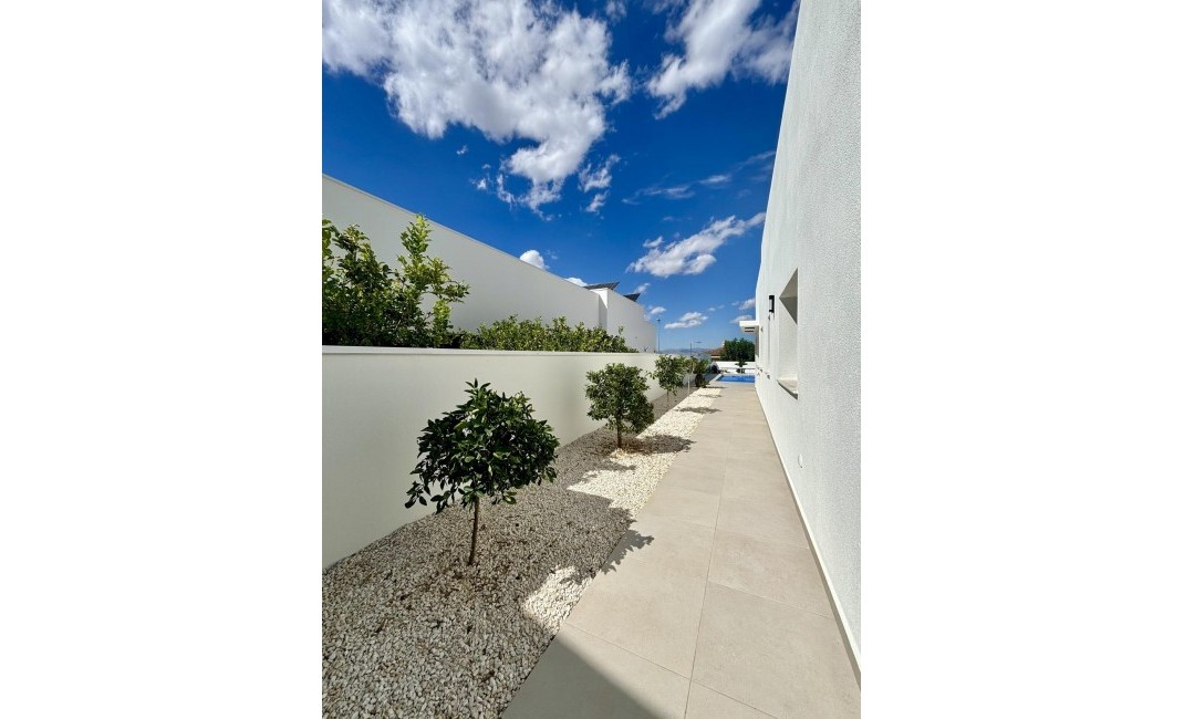 Nouvelle construction - Villa - Benijofar - Benijófar