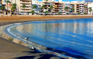 New Build - Villa - Fuente Álamo