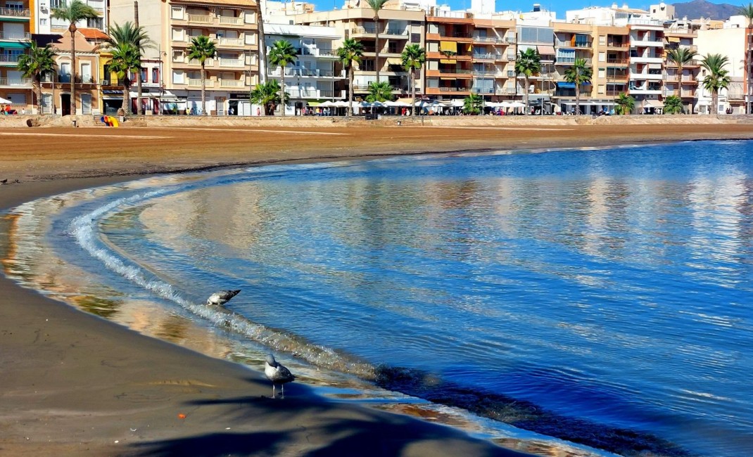 New Build - Townhouse - Fuente Álamo